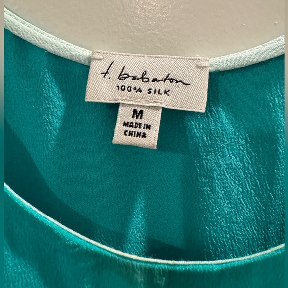 Babaton Silk Dress - Picture 2 of 3